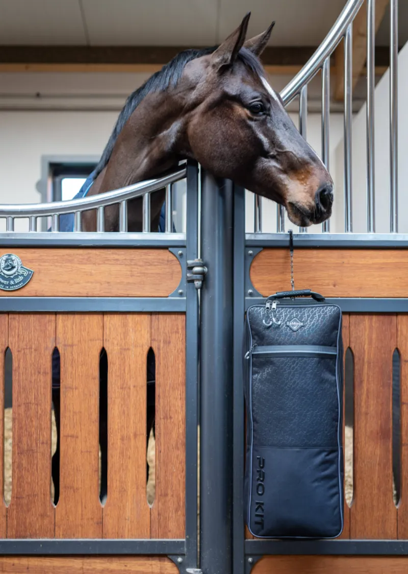 LeMieux Elite Pro Bridle Bag - Black-1